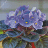 Blue African Violets Diamond Painting