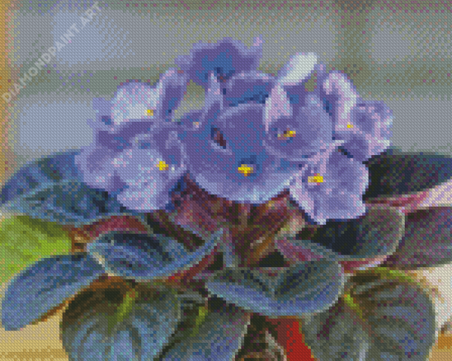 Blue African Violets Diamond Painting