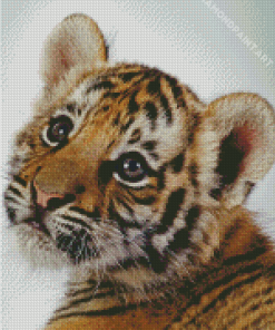 Cute Baby Tiger Diamond Painting