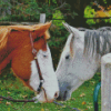 Cute Farm Horses Couple Diamond Painting
