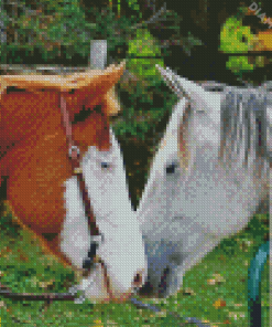 Cute Farm Horses Couple Diamond Painting
