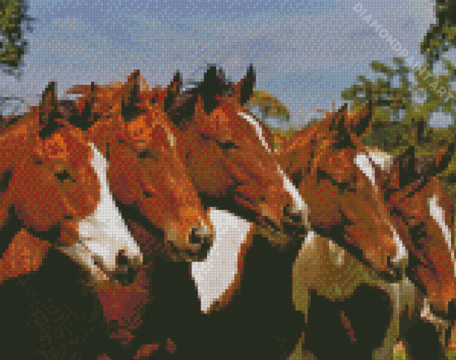 Five Horses Diamond Painting