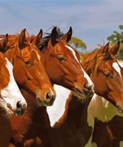 Five Horses Diamond Painting