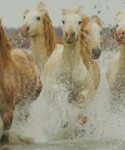 Five Horses In Water Diamond Painting