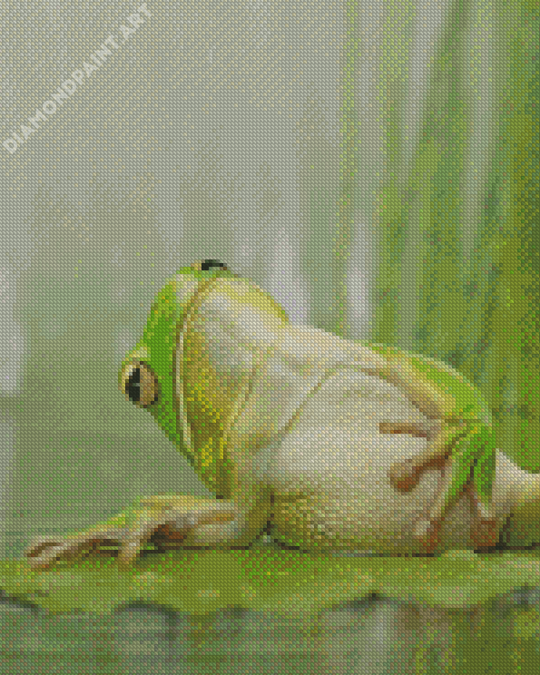 Frog Chilling On A Lily Pad Diamond Painting