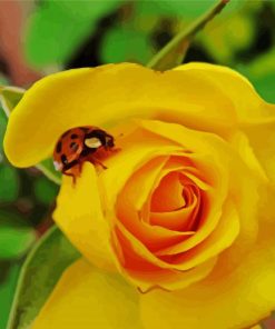 Ladybug On A Yellow Rose Diamond Painting