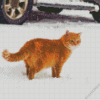 Orange Fluffy Cat In Snow Diamond Painting