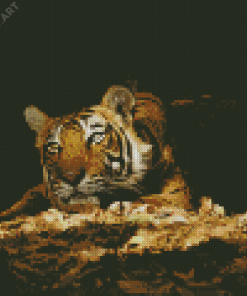 Wild Tiger In The Night Diamond Painting