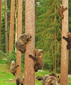 Bears Trees Climbers Diamond Painting