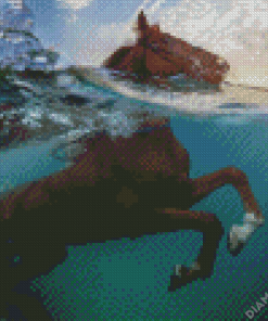 Brown Horse In Water Diamond Painting