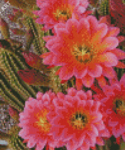Cactus With Pink Roses Diamond Painting