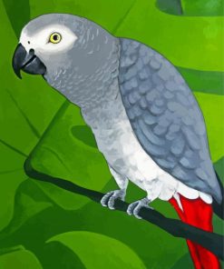 Grey Parrot Diamond Painting