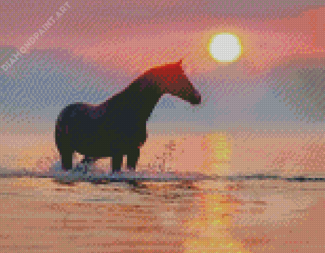 Horse In Water At Sunset Diamond Painting