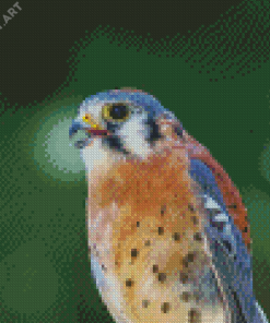 Kestrel Bird Diamond Painting
