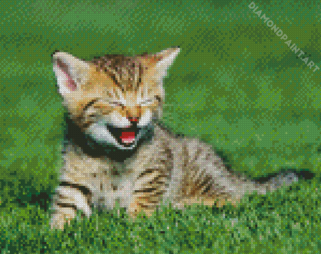 Kitten Tiger Art Diamond Painting