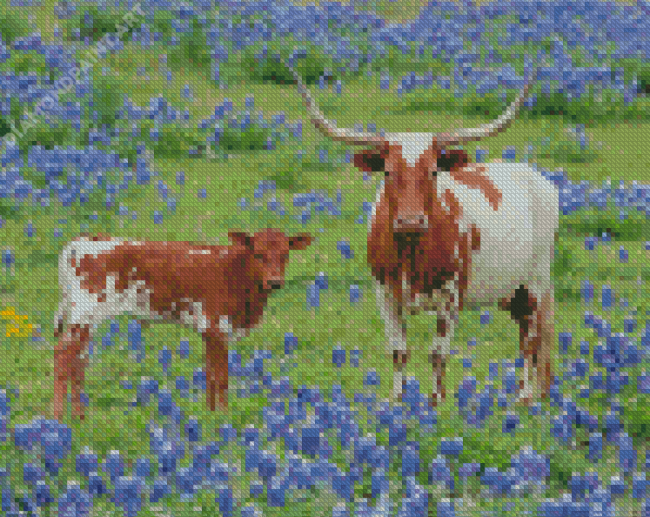Longhorn And Calf In Bluebonnets Diamond Painting