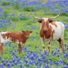 Longhorn And Calf In Bluebonnets Diamond Painting