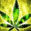 Marijuana Leaf Art Diamond Painting