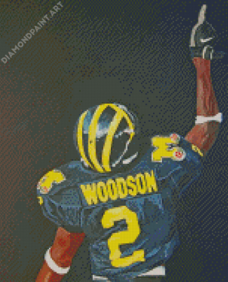 Michigan Wolverine Football Art Illustration Diamond Painting