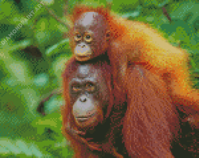 Orangutans Monkeys Animals Diamond Painting