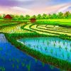 Rice Field Diamond Painting