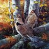 Ruffed Grouse Birds Diamond Painting