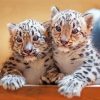 Snow Leopard Cubs Diamond Painting
