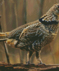 The Grouse Bird Diamond Painting