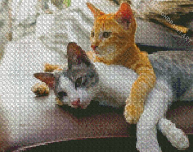 Two Kitties Diamond Painting