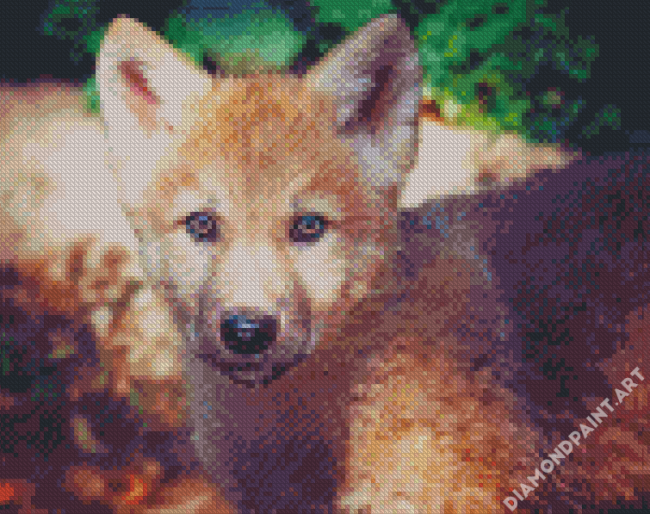 Wolf Cub Animal Diamond Painting
