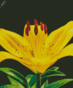 Yellow Lily Flower Plant Diamond Painting