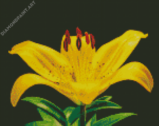Yellow Lily Flower Plant Diamond Painting