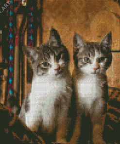 Aesthetic Two Kitties Diamond Painting