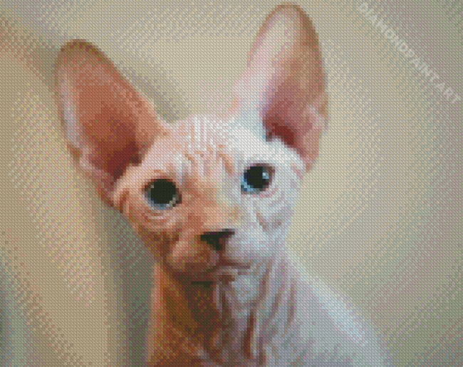 Aesthetic Hairless Cat Diamond Painting