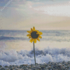 Beach Sunflower Wave Seaside Diamond Painting