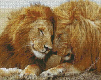 Beautiful Two Lions Diamond Painting