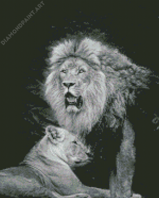 Black And White Lion And Lioness Diamond Painting