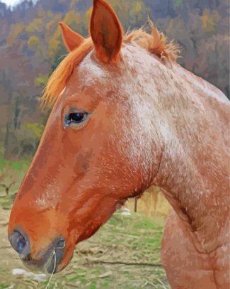 Brown Cob Horse Animal Diamond Painting