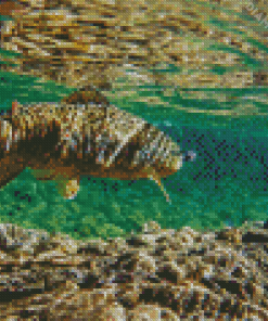Brown Trout Fish Diamond Painting