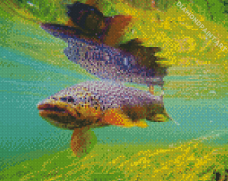 Brown Trout Under Sea Diamond Painting