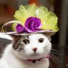 Cat With Flowering Hat Diamond Painting