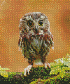Owl Baby Bird Diamond Painting