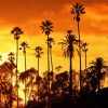 Palm Trees California Sunset Silhouette Diamond Painting