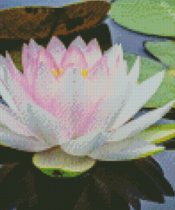 White Lotus Blossom Diamond Painting