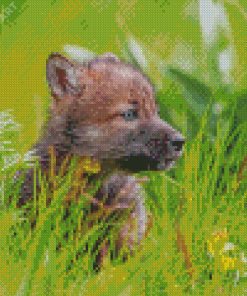 Wolf Baby Cub Diamond Painting