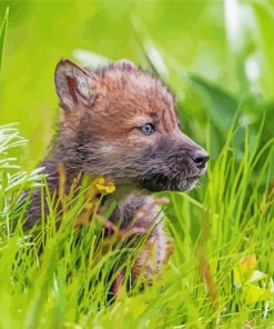 Wolf Baby Cub Diamond Painting