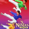 3 Ninjas Movie Poster Diamond Painting