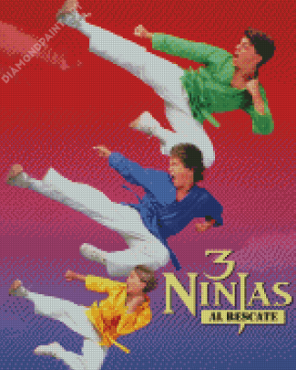 3 Ninjas Movie Poster Diamond Painting