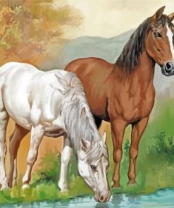 Animals Horses Drinking Diamond Painting