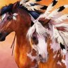 Beautiful Native Horses Diamond Painting
